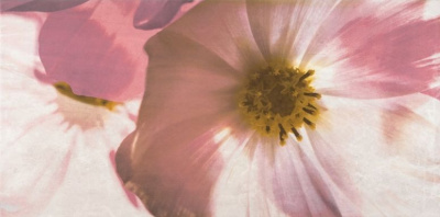 Stone Rose Inserto Flower В