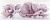 Arco Bianco Marina Lila В Decor 25 X 60