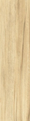 PAINTED WOOD GOLD BRUSH ZSXPW3R