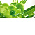 URBAN FENIX VERDE 25х50 декор