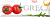 Decor Salad 02 10x30