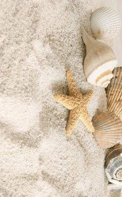 Summer Stone Holiday декор №2  В41321