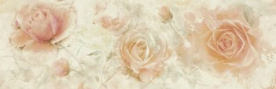 Mistere Bianco Inserto Roza A 32.5 X 97.7