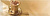 Decor Coffee Gold A 10x30
