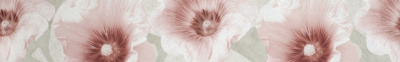 CREAMY FANTASY BORDER FLOWER 7х45