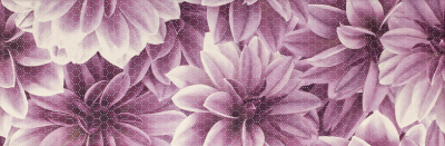 Universo Insertol Flower 20 X 60