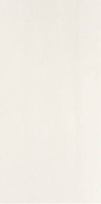 Savio Beige Jasna 25 X 50