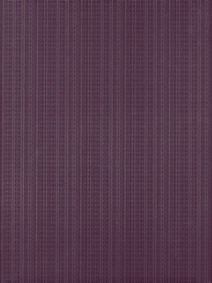 Legato Viola 25x33.3