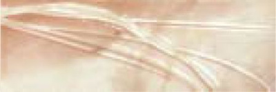 ATMOSPHERE BEIGE 2 ФРИЗ