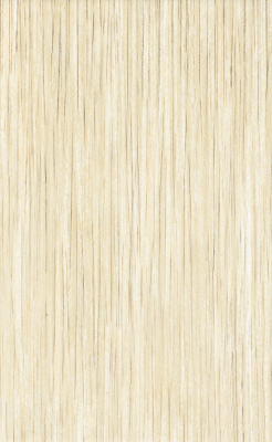 Nelia Bianco Sciana 25x40