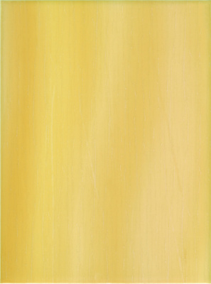 MAGNOLIA OCHRA СТЕНА