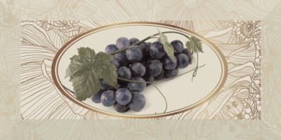 TOSCANA UVA ДЕКОР
