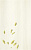 Allegro Beige Inserto B 25 X 40