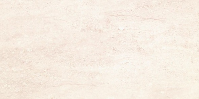 DANTE BLANCO 25х50