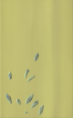 Allegro Verde Inserto B 25 X 40