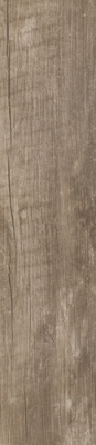 Trophy Brown 21,5 x 98,5