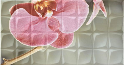 GLAMOUR ORCHID A RSA ДЕКОР