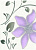 Tirani  Blue , Viola  B ДЕКОР