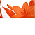 URBAN FENIX NARANJA 25х50 декор