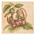 ARIZA BEIGE 3 FRUITS ДЕКОР
