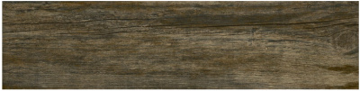 Western Chestnut