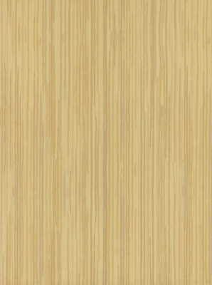 Stokrotka Giallo 25 X 33.3