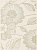 Libretto Beige Inserto Kwiat В 25x33.3