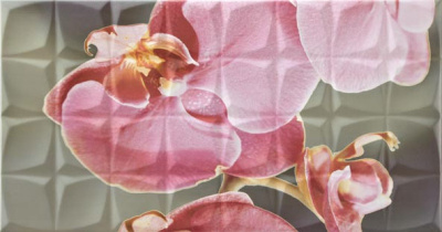 GLAMOUR ORCHID B RSA ДЕКОР