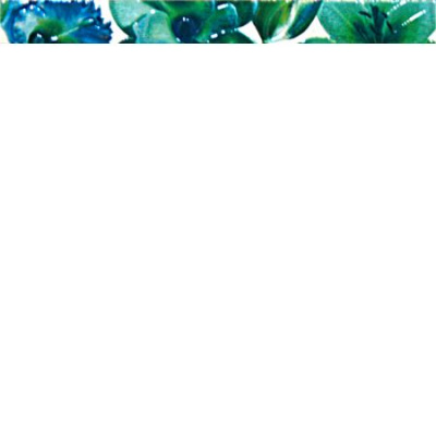 URBAN FENIX AZUL LISTELO 5х50