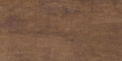 Tandori Brown Polpoler 29.8x59.8