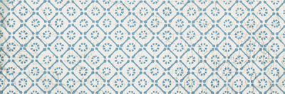 ANTICO BLUE В 20х60 декор