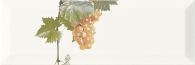 MOSCATEL BLANCO 3 ДЕКОР