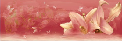 Decor Fiore Bordeaux A 20x60