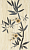 Nelia Bianco Inserto 25x40