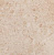 Aruba cream