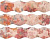 9002 NARANJA SALMON MELOCOTON SAMSARA 3 ...