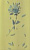 Allegro Verde Inserto А 25 X 40