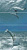 ENERGY PISCIS 4 ПАННО