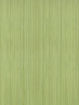 Stokrotka Verde 25 X 33.3