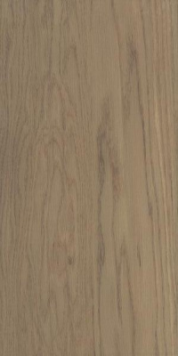 AMICHE BROWN 30х60