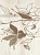 FREZJA BEIGE C INSERTO ДЕКОР
