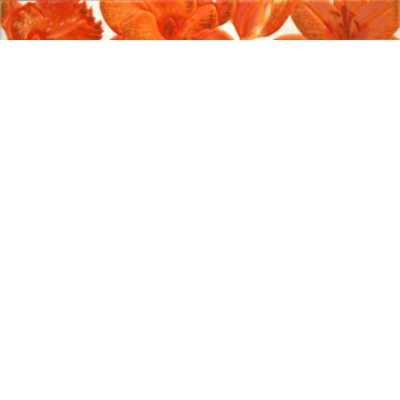 URBAN FENIX NARANJA LISTELO 5х50
