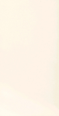TONNES BIANCO 30х60