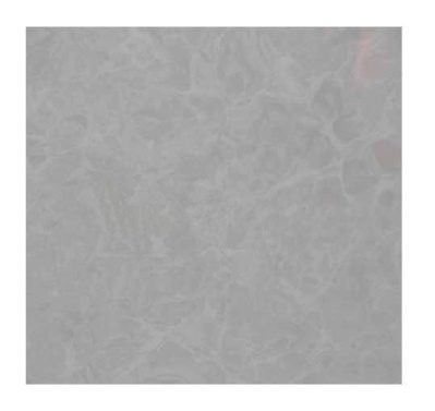 OCEANO OJ00160P ПОЛ