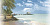 Art Bianco Paradiso Decor 250 X 500