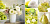 Декор Fresh Fruits A 29.7 х 60