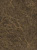 Capella Brown 25 X 33.3