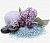 GLOSS SPA AMA ПАННО
