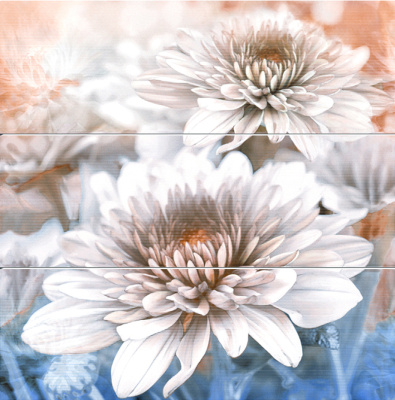 D. Niza Flor (1.2.3)