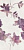 LUCIOLA ECRU INSERTO FIORI 30х60